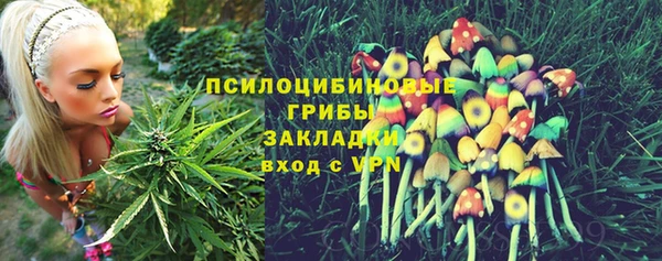 прущие грибы Гусев