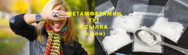 прущие грибы Гусев