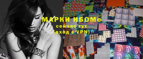 прущие грибы Гусев