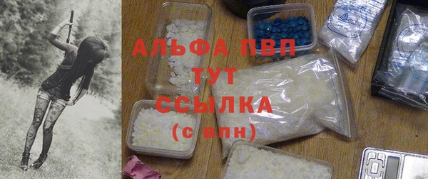 прущие грибы Гусев