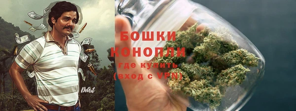 молекула духа Гусиноозёрск