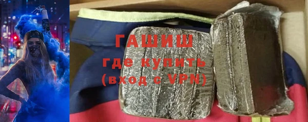 прущие грибы Гусев