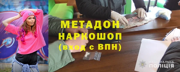 прущие грибы Гусев