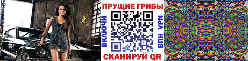 Псилоцибиновые грибы Psilocybe  ссылка на мегу вход  Дубна 